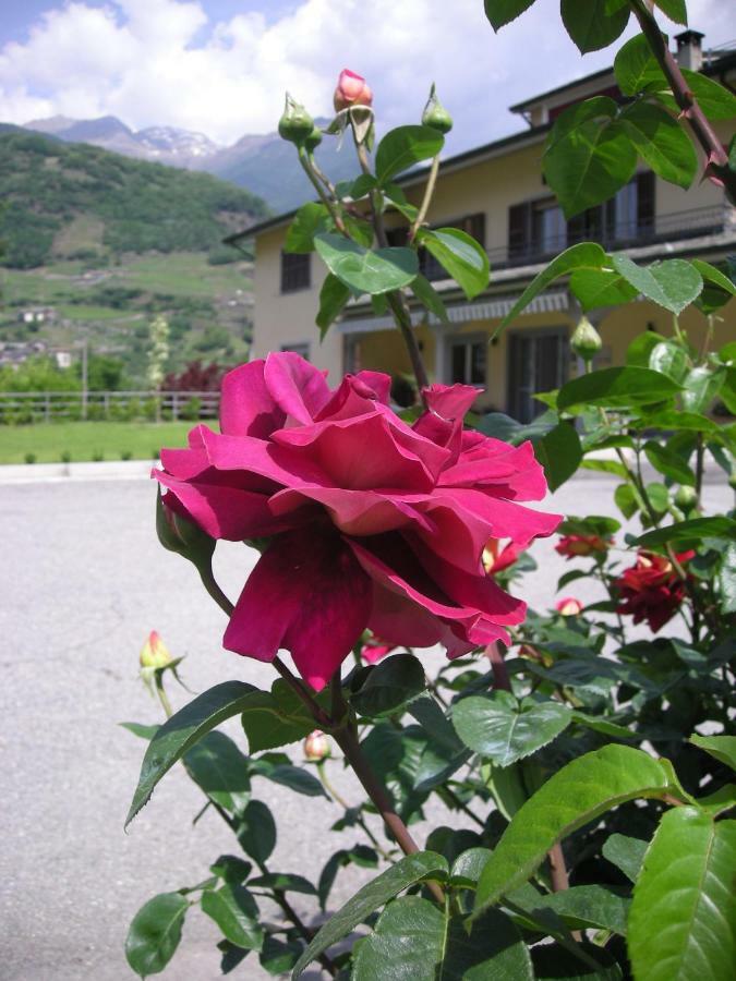 Il Crocevia Teglio